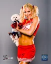 wwe torrie wilson
