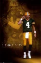 brett favre