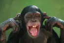 i can't hear you