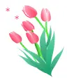 tulip