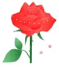 rose