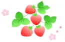 strawberry
