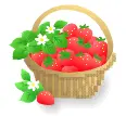 strawberry