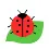 bug