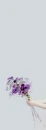 purple flowers
