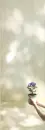 purple plant