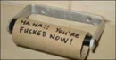 toilet paper