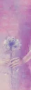 purple rose