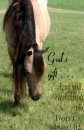 Equine Inspiration