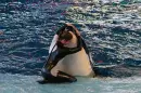 Sea World