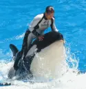 Sea World