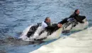 Sea World