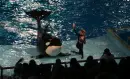 Sea World