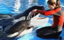 Sea World