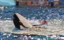 Sea World
