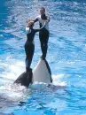 Sea World