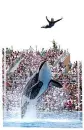 Sea World