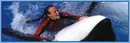 Sea World