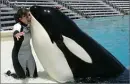 Sea World