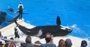 Sea World