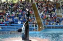 Sea World