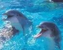 Sea World