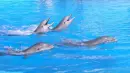 Sea World