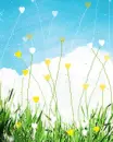 love nature