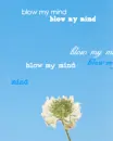 flower blow my mind