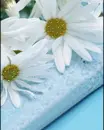 white flowers