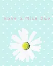 have a nice day flower