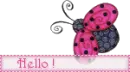 cute hello