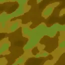 camo 1