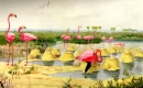 pink flamingoes