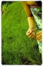geen grass make me..fly