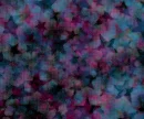 black and neon stars