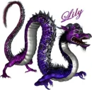 Purple Lily Dragon
