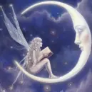 moon fairy