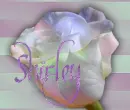 Shirley