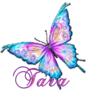 TARA- butterfly moo1