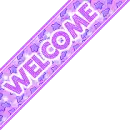 Welcome banner