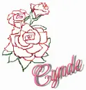 CYNDE roseglitzmoo