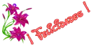 felicidades