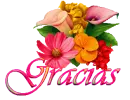 gracias