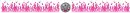 pink flame star divider