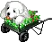 cute puppy