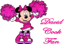 David Cook Fan