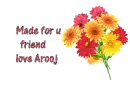 made for you friend love Arooj