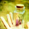 Lavender in a Bottle