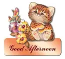 good afternoon